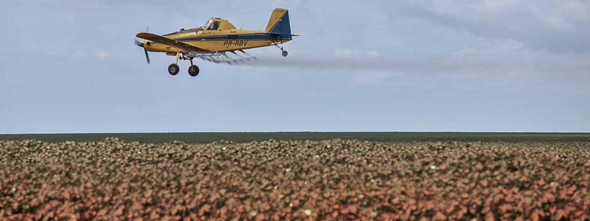 Brazil’s pesticide poisoning problem poses global dilemma